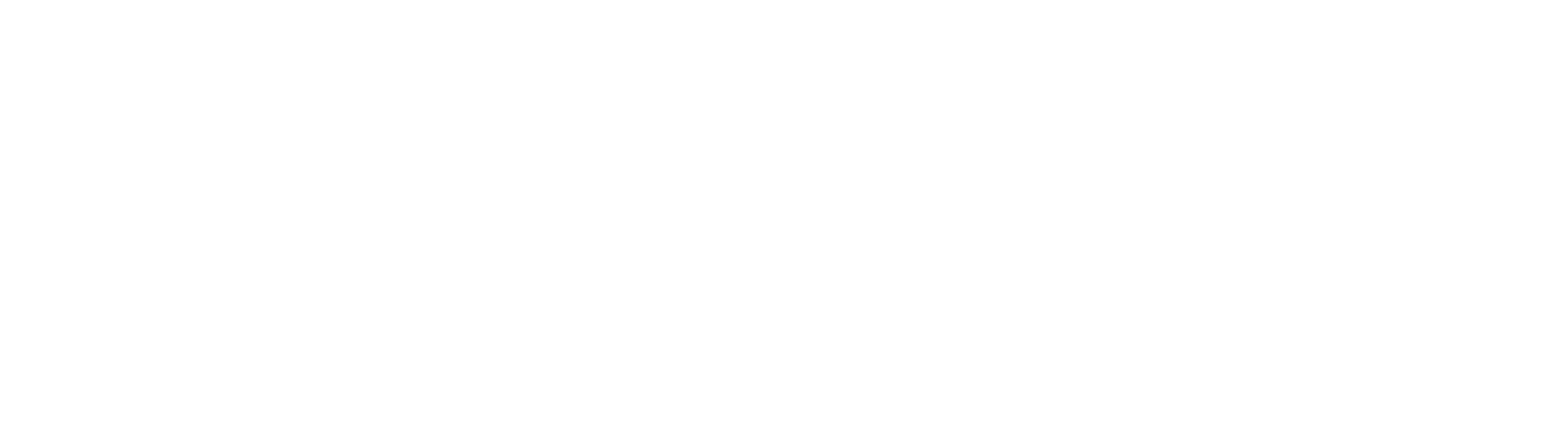 Fortitude IT & Website Design